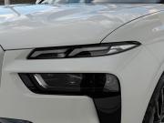 BMW X7 I (G07) Рестайлинг Казань  - изображение 43