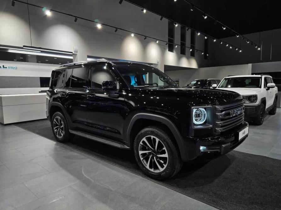 Haval H9 II Красноярск  - изображение 4