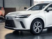 Lexus RX V Ростов-на-Дону  - изображение 22
