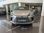 Lexus RX V Казань  - изображение 24