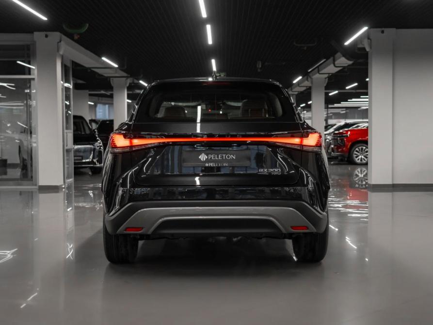 Lexus RX V Москва  - изображение 6