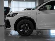 Volkswagen Tiguan III (China Market) Москва  - изображение 64