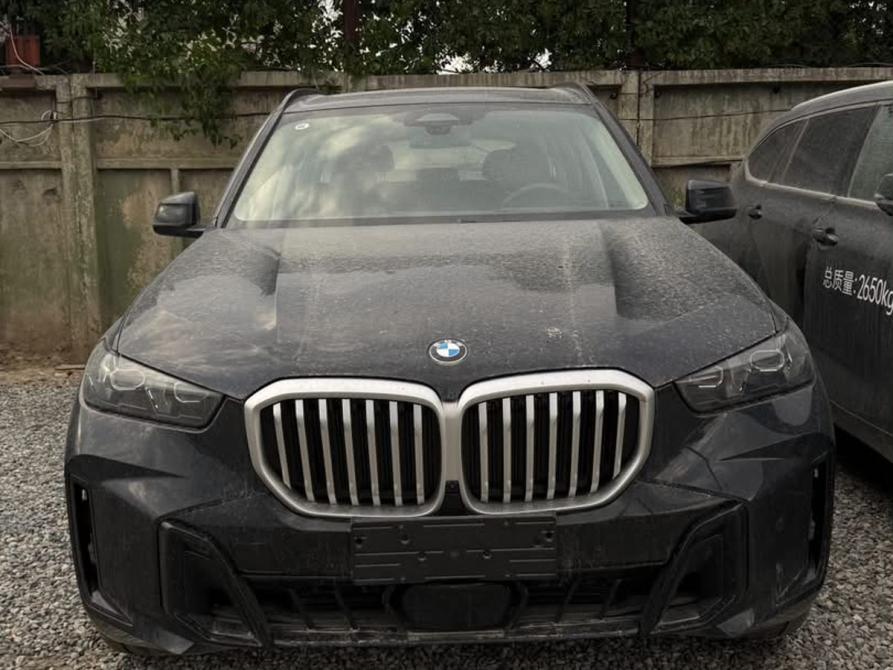 BMW X5 IV (G05/G18) Рестайлинг Самара  - изображение 2