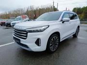 Exeed VX I Тюмень  - изображение 32