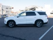 Hyundai Palisade I Москва  - изображение 29