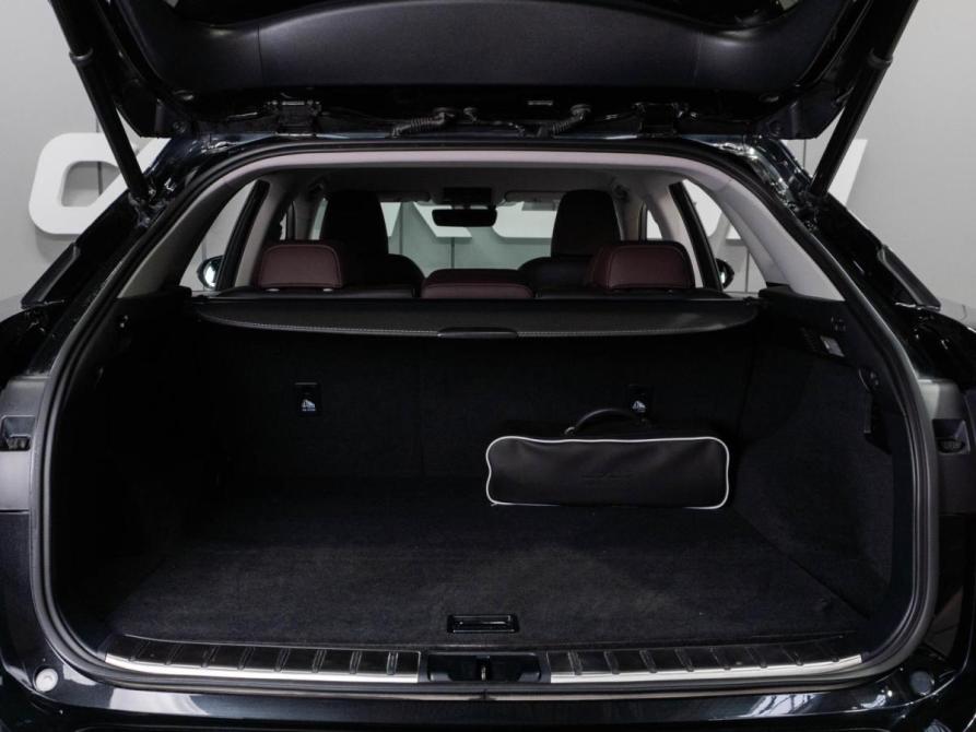 Lexus RX IV Тюмень  - изображение 25