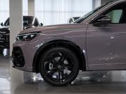 Volkswagen Tiguan III (China Market) Москва  - изображение 39