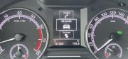 Skoda Octavia III (A7) Рестайлинг Тверь  - изображение 29