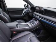 Hyundai Palisade I Рестайлинг Москва  - изображение 29