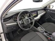 Skoda Octavia IV (A8) Москва  - изображение 45