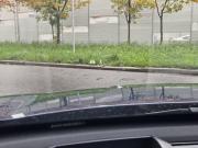 Chery Tiggo 8 Pro Max I Рестайлинг Санкт-Петербург  - изображение 54
