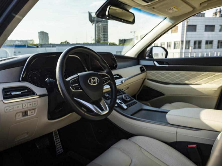Hyundai Palisade I Москва  - изображение 10