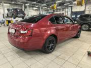 Skoda Octavia III (A7) Рестайлинг Санкт-Петербург  - изображение 7