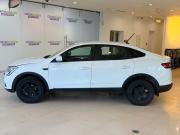 Renault Arkana I Москва  - изображение 25