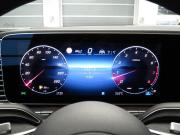 Mercedes-Benz GLE II (V167) Рестайлинг Санкт-Петербург  - изображение 52