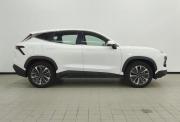 JETOUR DASHING I Екатеринбург  - изображение 24