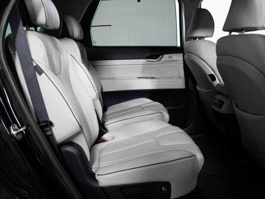 Hyundai Palisade I Рестайлинг Москва  - изображение 11