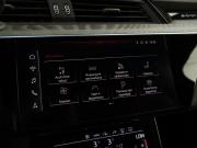 Audi e-tron I Москва  - изображение 39