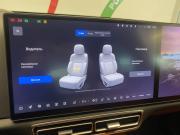 Li Auto (Lixiang) L8 I Москва  - изображение 50