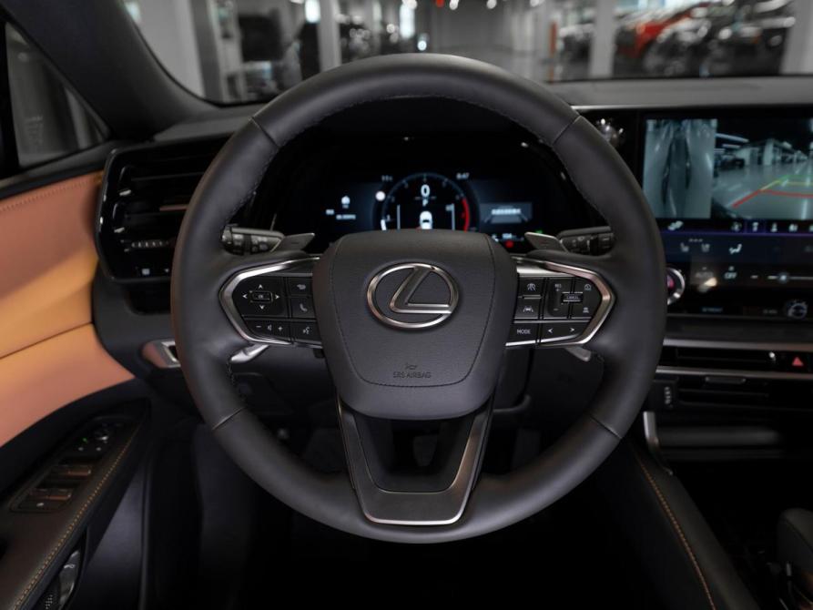 Lexus RX V Москва  - изображение 11