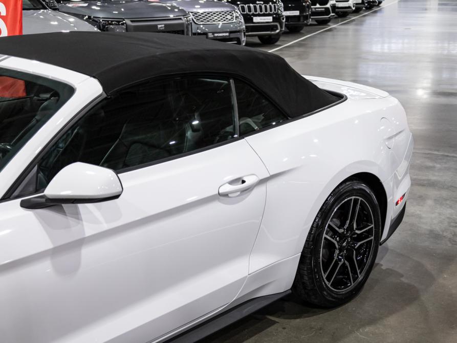 Ford Mustang VI Рестайлинг Санкт-Петербург  - изображение 4