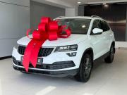Skoda Karoq I Тверь  - изображение 17