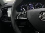 Skoda Kodiaq I Волгоград  - изображение 51