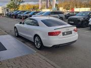 Audi A5 I (8T) Санкт-Петербург  - изображение 25