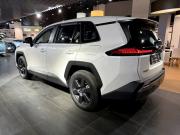 Toyota RAV4 VI (XA60) Москва  - изображение 21