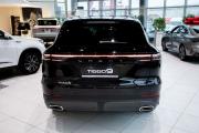 Chery Tiggo 9 I Москва  - изображение 31
