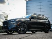 BMW X7 I (G07) Москва  - изображение 78