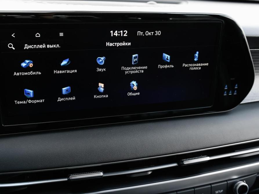 Hyundai Palisade I Москва  - изображение 22