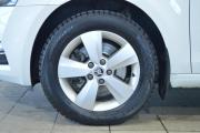 Skoda Octavia III (A7) Рестайлинг Сургут  - изображение 36