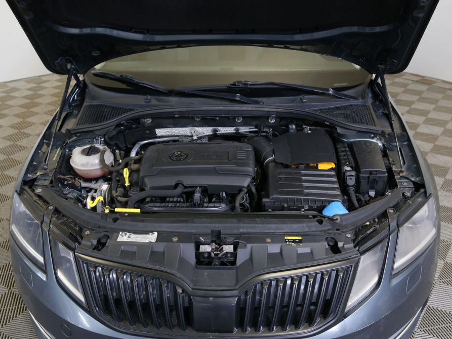 Skoda Octavia III (A7) Рестайлинг Санкт-Петербург  - изображение 11