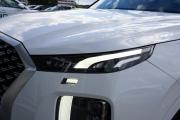 Hyundai Palisade I Крым  - изображение 79
