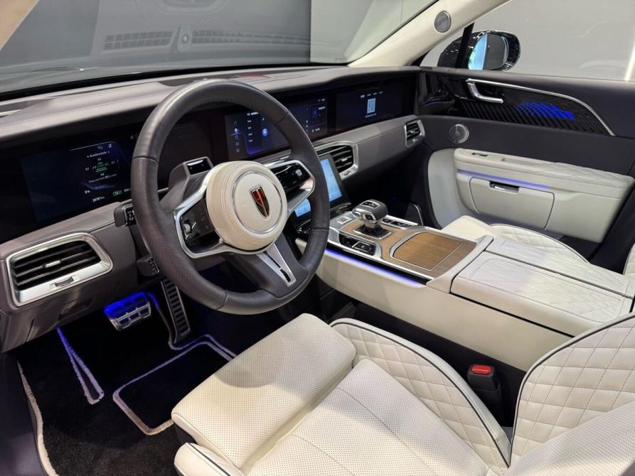 Hongqi E-HS9 Нижний Новгород  - изображение 8
