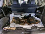 Toyota Highlander III (XU50) Рестайлинг Москва  - изображение 38