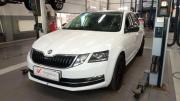 Skoda Octavia III (A7) Рестайлинг Санкт-Петербург  - изображение 7