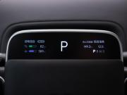 Li Auto (Lixiang) L9 I Москва  - изображение 32