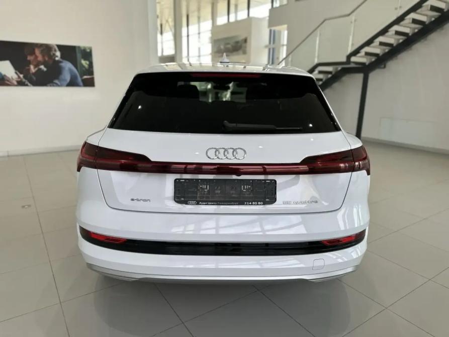 Audi e-tron I Владимир  - изображение 6