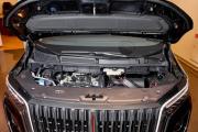 Hongqi HQ9 Нижний Новгород  - изображение 26