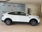 Renault Arkana I Москва  - изображение 21