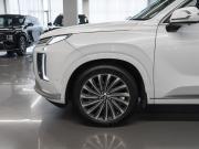 Hyundai Palisade I Рестайлинг Москва  - изображение 60