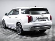Hyundai Palisade I Рестайлинг Москва  - изображение 28