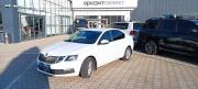 Skoda Octavia III (A7) Рестайлинг Краснодар  - изображение 2