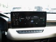 Haval Jolion I Рестайлинг Владимир  - изображение 48