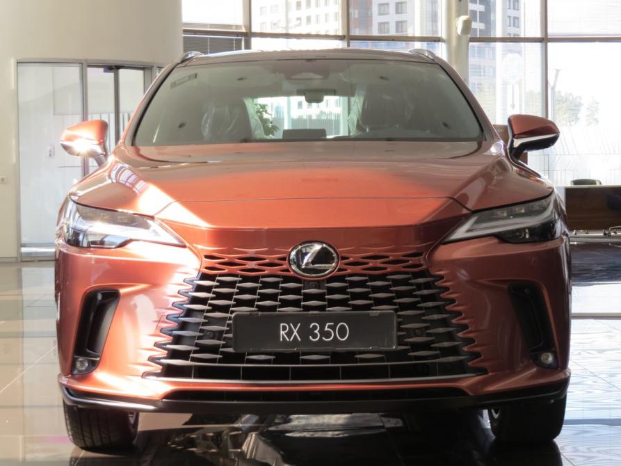 Lexus RX V Екатеринбург  - изображение 2