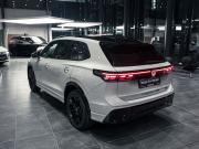 Volkswagen Tiguan III (China Market) Ростов-на-Дону  - изображение 24