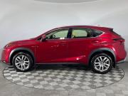 Lexus NX I Рестайлинг Ростов-на-Дону  - изображение 23