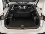 Volkswagen Tiguan III (China Market) Москва  - изображение 62